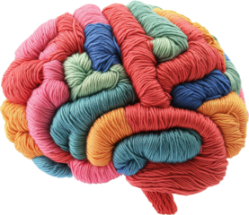 Colorful Yarn Brain Model
