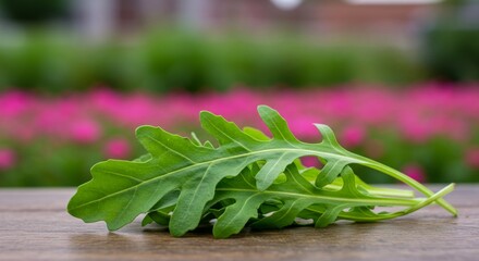 Obraz premium Fresh arugula leaves on rustic wooden surface, nature's bounty close-up shot