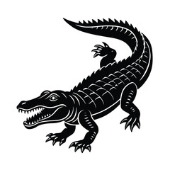 black dragon on white background