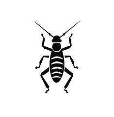 grasshopper isolated on white