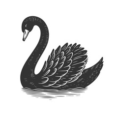 Naklejka premium black swan, as a metaphor for unexpected, high-impact events or anomalies sketch engraving generative ai vector illustration. Scratch board imitation. Black and white image.
