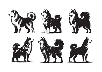 Canadian Inuit Dog Silhouette Vector Illustration White Background 