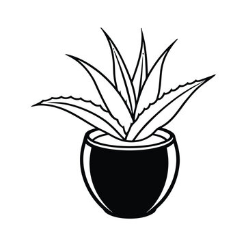 recommend clip art: aloe vera plant coconut shell pot line art vector silhouette
