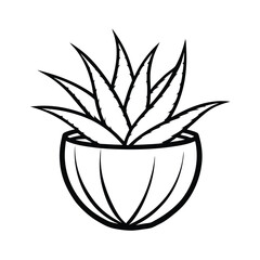aloe vera plant coconut shell pot line art vector silhouette