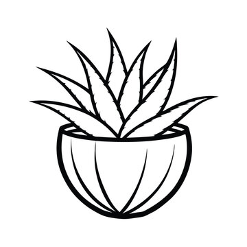 recommend clip art: aloe vera plant coconut shell pot line art vector silhouette