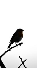 Fototapeta premium Silent Sentinel of Dawn AI Generated