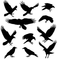 Obraz premium Raven's Flight: A Silhouette Symphony AI Generated