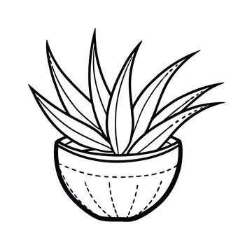 recommend clip art: aloe vera plant coconut shell pot line art vector silhouette