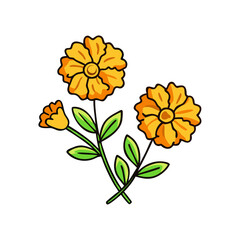 Illustration of orange marigold flowers with green leaves floral botanical garden design element vector art