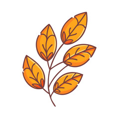 Autumn fall leaves foliage branch season nature plant tree color drawing illustration design vector