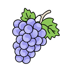 Illustration of fresh grapes, fruit, purple grapes, healthy food, sweet grapes, vine grapes, grapes art