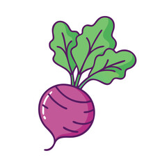 Illustration of fresh beetroot vegetable with green leaves healthy eating food concept design art