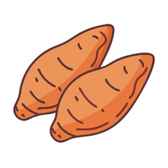 Illustration of sweet potato yam vegetable root crop healthy food orange color fresh produce diet nutrition