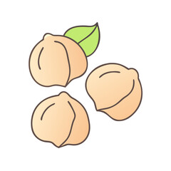 Delicious fresh chickpeas vector illustration healthy food ingredient legume plant based diet cooking