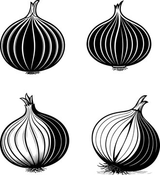 Onion Vegetable Silhouette Vector &ndash; Black Onion Icon on White Background