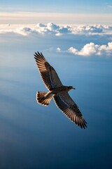 Fototapeta premium there is a bird flying high above the clouds in the sky