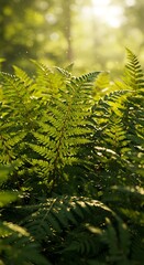 Golden Hour Ferns: Sunlit Forest Magic