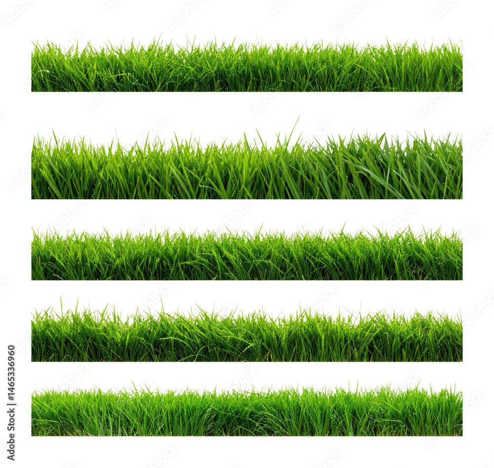 Fototapete lush green grass seamless border rendered in 3d for design projects, isolated on transparent backgro