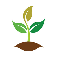 green sprout in a pot