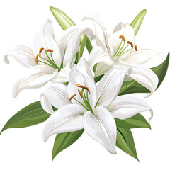 Fototapeta premium Elegant white lilies bouquet