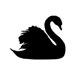 Silhouette of a swan – vector illustration © KR Studio