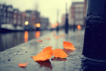 Obraz premium Autumn leaves by canal, city background, wet surface. Use website, blog