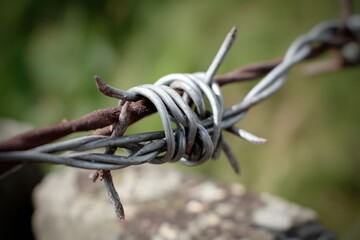 Barbed Wire Close-Up: A close-up of weathered, rusty barbed wire against a blurred background, emphasizing the intricate structure of the metal and the potential for both protection and constraint.
