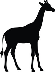 giraffe silhouette vector illustration