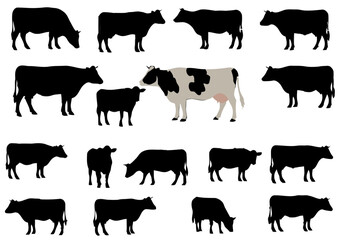 Examining the Black and White Pattern Variation Among Cows A Study of Bovine Coat Coloration Genetic Diversity and Regional Distribution of Different Cow Populations Worldwide	