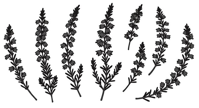Heather's Whisper: Ink & Shadow AI Generated