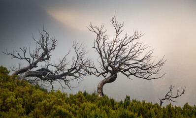 view of the mountains and rocks near Arieiro peak - the highest point of Madeira island, Portugal