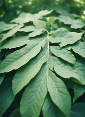  Lush Green Tropical Leaves