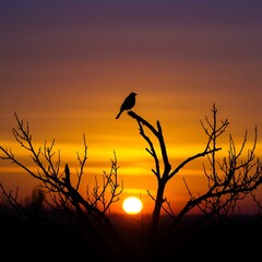 Obraz premium Sunset Serenade AI Generated