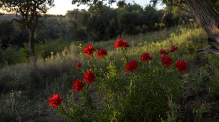 Vibrant Red Flowers Blooming in Lush Green Nature