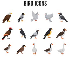 Obraz premium Feathered Friends: A Bird Icon Collection AI Generated