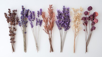 Assorted dried flower arrangements in various colors and textures
