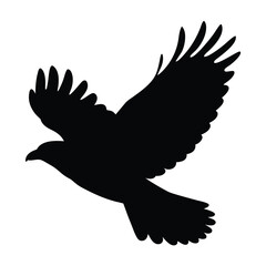 Black silhouette of a majestic bird in flight against a white backdrop