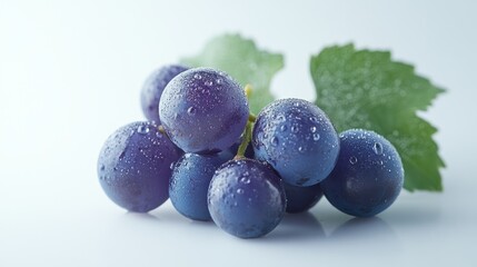 Fresh, plump purple grapes with water droplets and leaves