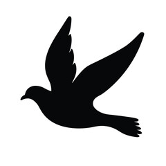 Silhouette of a graceful dove in flight against a pristine white backdrop