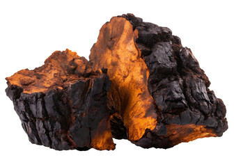 Fototapeta premium Chaga mushroom isolated on white background PNG