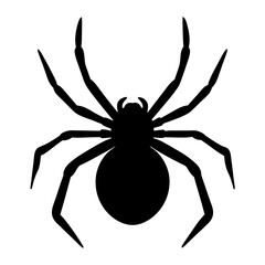 Black silhouette of a spider against a white background, isolated design