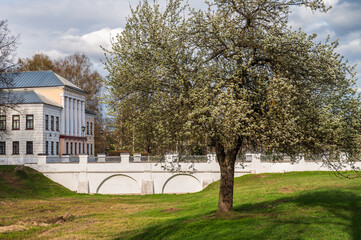 Blooming apple tree in the park against the background of a white antique bridge.