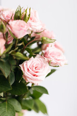 Close-up, bouquet of small pink roses on a white background.