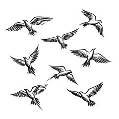 Obraz premium Flight of Ink Birds AI Generated
