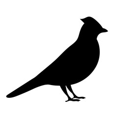 Elegant black silhouette of a cardinal bird with crest on white background