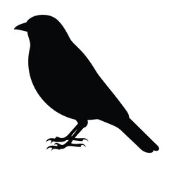Silhouette of a bird, potentially a finch or sparrow, standing at rest