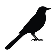 Monochrome bird silhouette featuring a songbird perched on a branch vector art