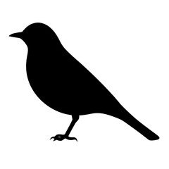 Silhouette of a songbird perched on a branch against a white background