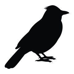 Silhouette of a perched bird with distinguished crest against a white background