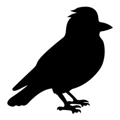 Silhouette of a small bird, possibly a sparrow, perched and at rest